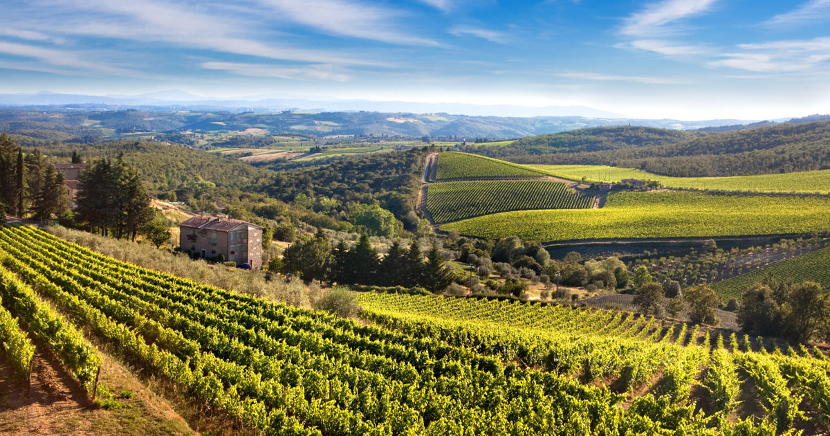 Tuscany Countryside Tours - Private Van - Florence Tour